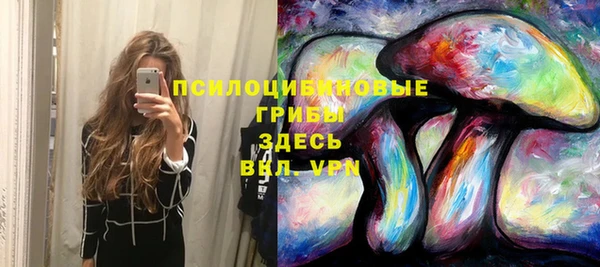 синтетический гашиш Дмитров