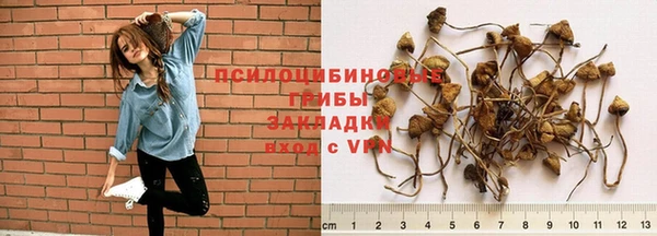 МДМА Кедровый
