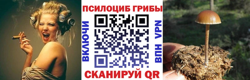 Псилоцибиновые грибы прущие грибы  гидра зеркало  Новосокольники 